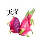 南国のドラゴンフルーツ（個別スタンプ：20）