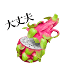 南国のドラゴンフルーツ（個別スタンプ：21）