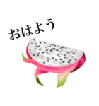 南国のドラゴンフルーツ（個別スタンプ：22）