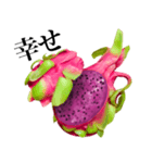 南国のドラゴンフルーツ（個別スタンプ：24）