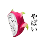 南国のドラゴンフルーツ（個別スタンプ：25）