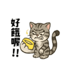 猫の日常感情（個別スタンプ：2）