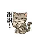 猫の日常感情（個別スタンプ：3）