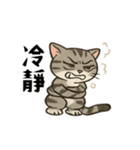猫の日常感情（個別スタンプ：4）