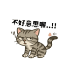 猫の日常感情（個別スタンプ：7）