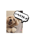 ポム君の日常②（個別スタンプ：8）