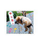 ポム君の日常②（個別スタンプ：9）