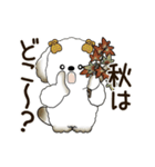 動く犬さん 2025 「秋」（個別スタンプ：12）
