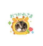 怪物猫シリーズ3（個別スタンプ：2）