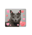 怪物猫シリーズ3（個別スタンプ：3）