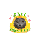 怪物猫シリーズ3（個別スタンプ：6）