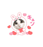怪物猫シリーズ3（個別スタンプ：7）