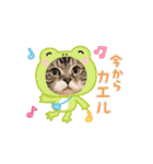 怪物猫シリーズ3（個別スタンプ：11）