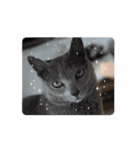 怪物猫シリーズ3（個別スタンプ：12）