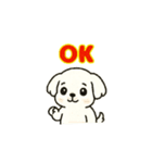 マルチーズちゃん(犬) 動くスタンプ16個（個別スタンプ：2）
