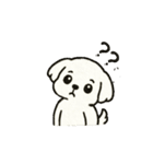 マルチーズちゃん(犬) 動くスタンプ16個（個別スタンプ：5）