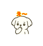 マルチーズちゃん(犬) 動くスタンプ16個（個別スタンプ：9）