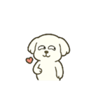 マルチーズちゃん(犬) 動くスタンプ16個（個別スタンプ：15）