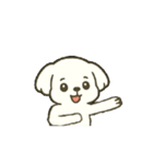 マルチーズちゃん(犬) 動くスタンプ16個（個別スタンプ：16）