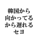 ニセ韓国語スタンプ【韓流・言い訳・煽る】（個別スタンプ：5）