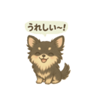 チワワのコテツさん(イラストVer.3)（個別スタンプ：1）