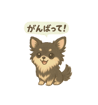 チワワのコテツさん(イラストVer.3)（個別スタンプ：2）