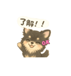 チワワのコテツさん(イラストVer.3)（個別スタンプ：3）