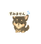 チワワのコテツさん(イラストVer.3)（個別スタンプ：5）