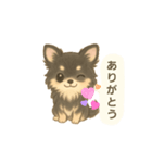 チワワのコテツさん(イラストVer.3)（個別スタンプ：8）