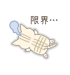 ネガティブなトラ猫さん（個別スタンプ：11）