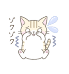 ネガティブなトラ猫さん（個別スタンプ：13）
