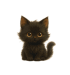 猫いろいろ日常会話 98（個別スタンプ：1）