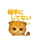猫いろいろ日常会話 98（個別スタンプ：5）