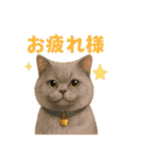 猫いろいろ日常会話 98（個別スタンプ：9）