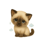 猫いろいろ日常会話 98（個別スタンプ：11）