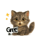 猫いろいろ日常会話 98（個別スタンプ：24）