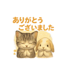 猫いろいろ日常会話 98（個別スタンプ：28）