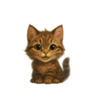 猫いろいろ日常会話 98（個別スタンプ：35）