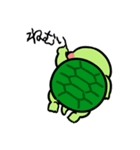 新！かめ日和（個別スタンプ：28）