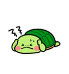 新！かめ日和（個別スタンプ：35）