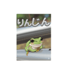 僕の仲間の紹介（個別スタンプ：8）
