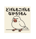 ゆる〜い博多弁ぶんちょー（個別スタンプ：11）