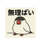 ゆる〜い博多弁ぶんちょー（個別スタンプ：16）