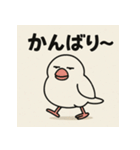 ゆる〜い博多弁ぶんちょー（個別スタンプ：24）