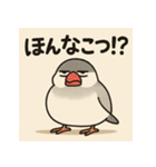 ゆる〜い博多弁ぶんちょー（個別スタンプ：34）