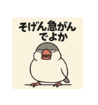 ゆる〜い博多弁ぶんちょー（個別スタンプ：37）