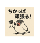 ゆる〜い博多弁ぶんちょー（個別スタンプ：40）