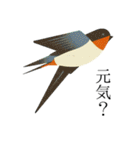 ハッピー鳥さんスタンプ（個別スタンプ：6）