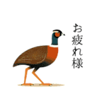 ハッピー鳥さんスタンプ（個別スタンプ：23）