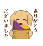 ダックス大好き【秋】クリーム（個別スタンプ：10）